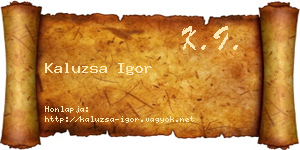 Kaluzsa Igor névjegykártya